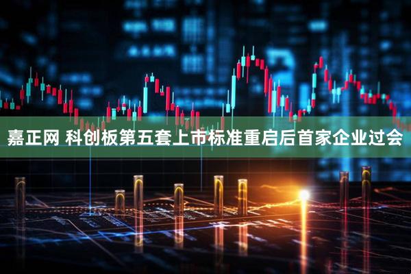 嘉正网 科创板第五套上市标准重启后首家企业过会