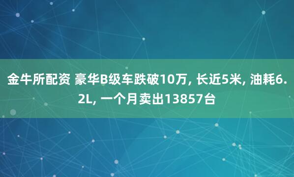 金牛所配资 豪华B级车跌破10万, 长近5米, 油耗6.2L, 一个月卖出13857台