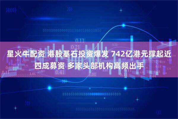 星火牛配资 港股基石投资爆发 742亿港元撑起近四成募资 多家头部机构高频出手
