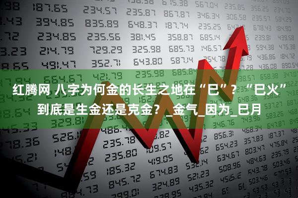 红腾网 八字为何金的长生之地在“巳”？“巳火”到底是生金还是克金？_金气_因为_巳月